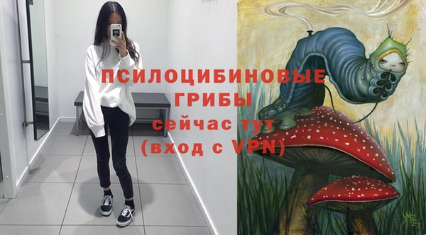 дурь Абаза