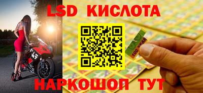 стафф Донецк