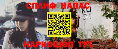 стафф Донецк