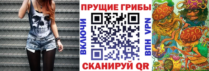 Псилоцибиновые грибы Magic Shrooms площадка состав Россошь