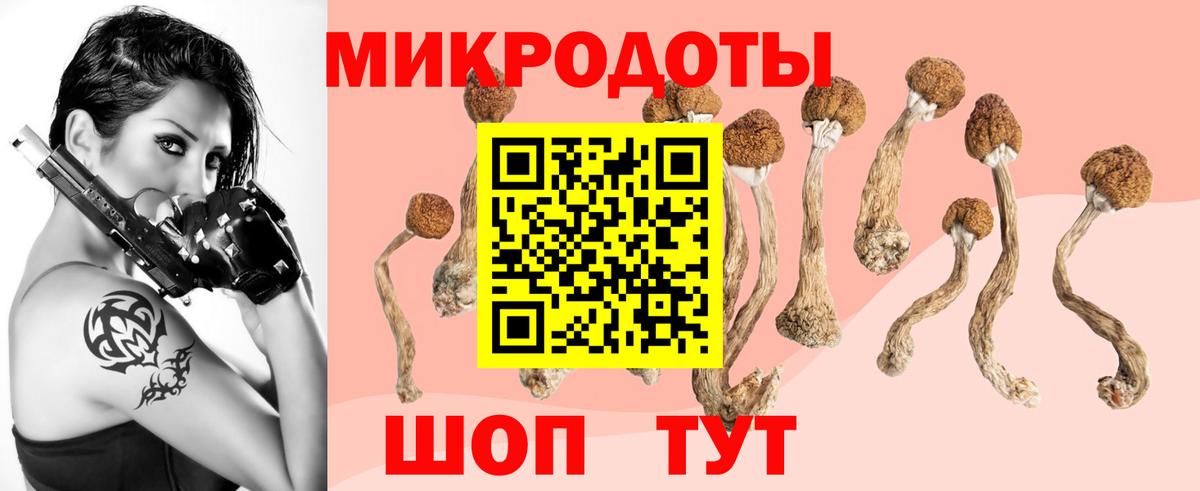 Псилоцибиновые грибы Cubensis Россошь