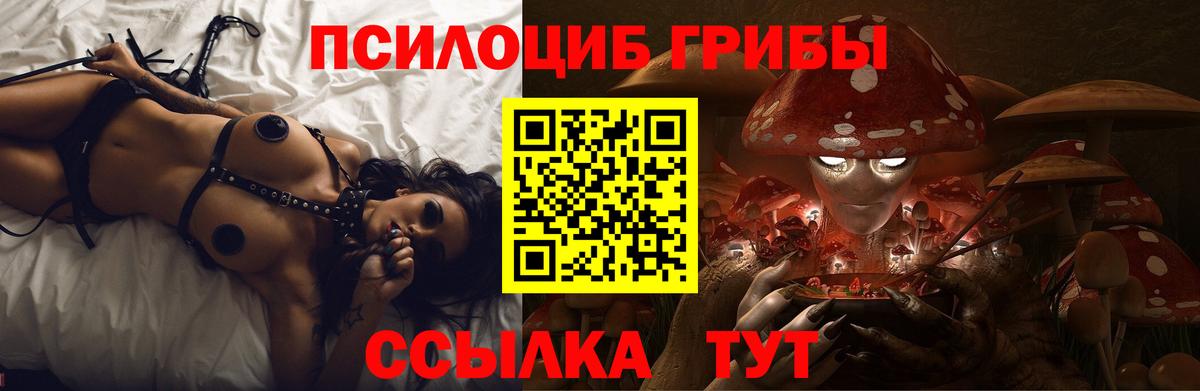Россошь  Галлюциногенные грибы MAGIC MUSHROOMS  Вход с VPN 