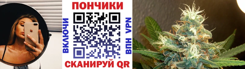 Марихуана план  дарк нет клад  Россошь  где найти наркотики 